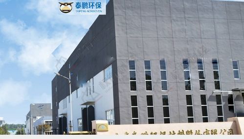 泰鹏环保劳务派遣超标,一高管八百万年薪,零人供应商频现