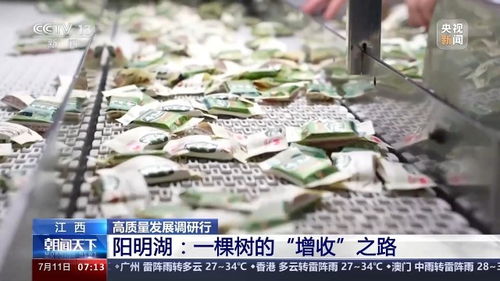 一棵树,长出了年产值超10亿的 大产业 新闻频道